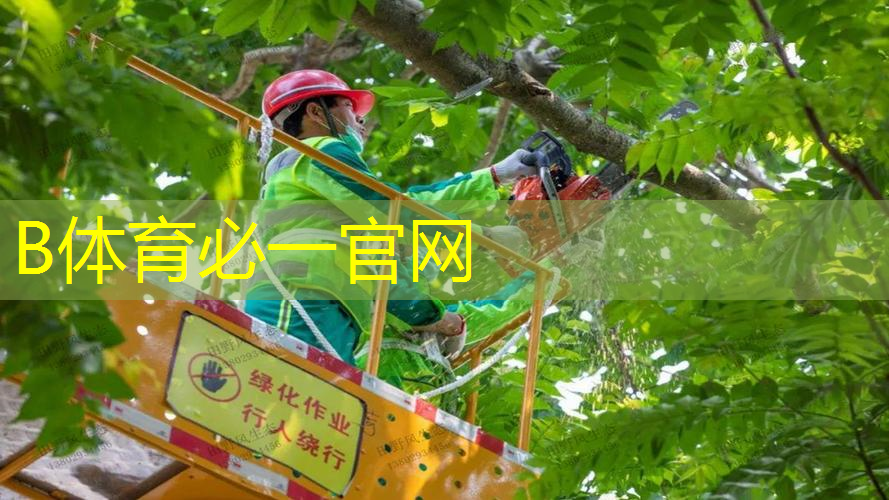 威尔逊绿色款网球拍