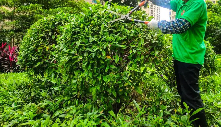 网球拍具体型号新手能用吗_
