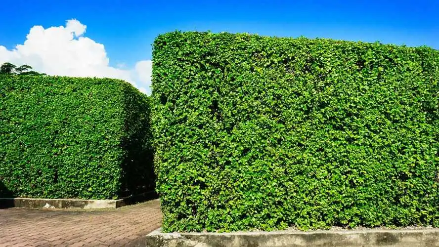 网球拍拿不住球的原因