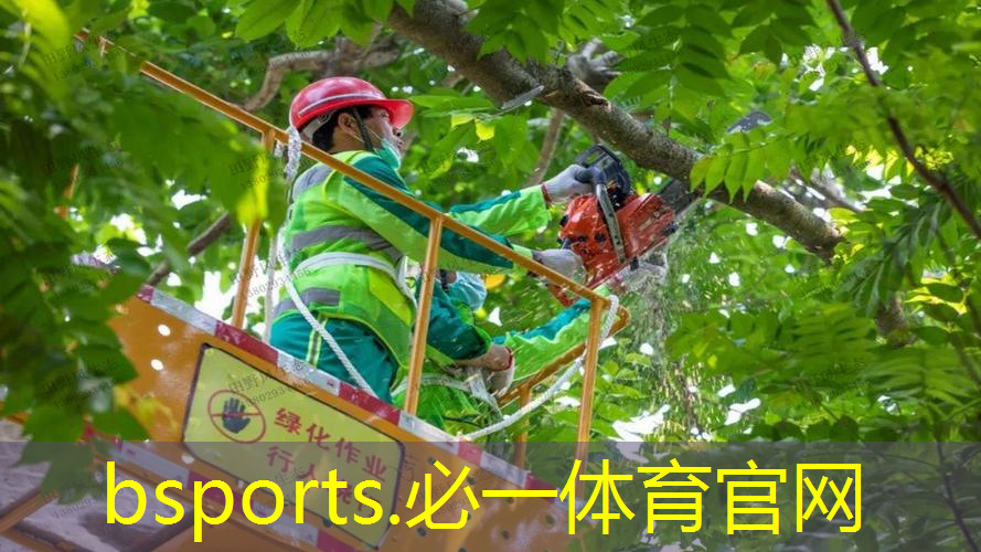 学校的乒乓球台标准吗 学校的乒乓球台标准吗